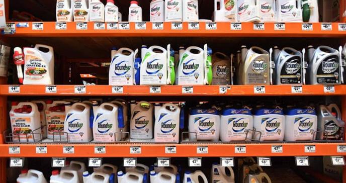 Confirman que el herbicida de Monsanto provocó un segundo caso de cáncer