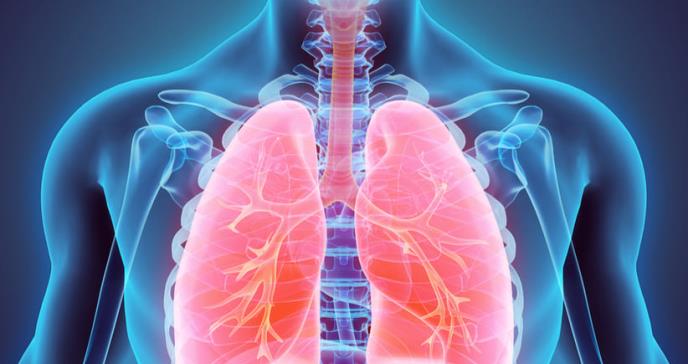 Un líquido que podría transportar medicina hacia las células enfermas del cuerpo humano