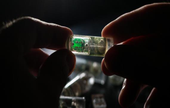 Un sensor que se podrá tragar para detectar enfermedades digestivas