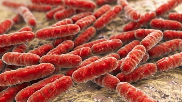 Un test detecta las bacterias resistentes a antibióticos en pocos minutos Un test detecta las bacterias resistentes a antibióticos en pocos minutos