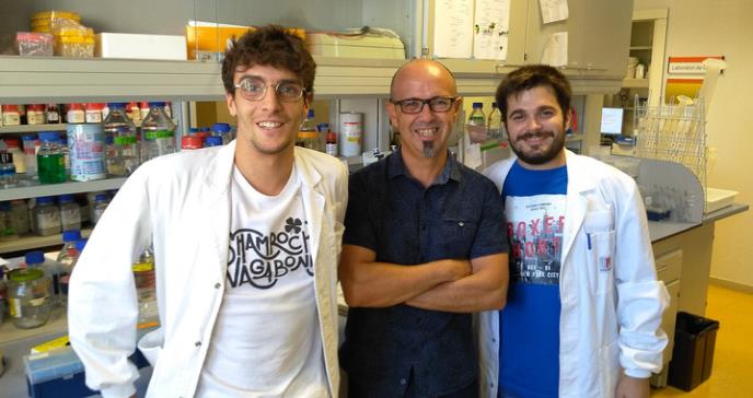 Una molécula detiene y revierte la neurodegeneración que provoca el párkinson