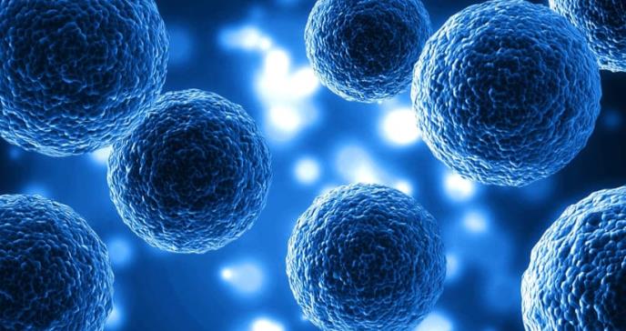 Una terapia con anticuerpos podría hacer posible trasplantes de donantes no compatibles