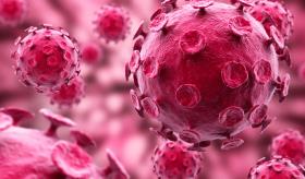 Virus ‘defectuosos’ para frenar la evolución del VIH