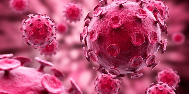 Virus ‘defectuosos’ para frenar la evolución del VIH Virus ‘defectuosos’ para frenar la evolución del VIH