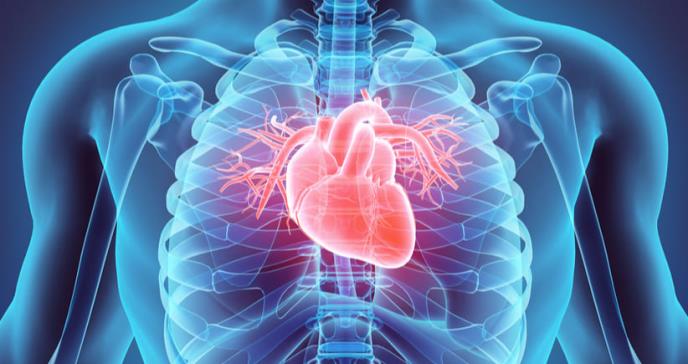 Nueva fórmula para tratar la enfermedad arterial coronaria y periférica