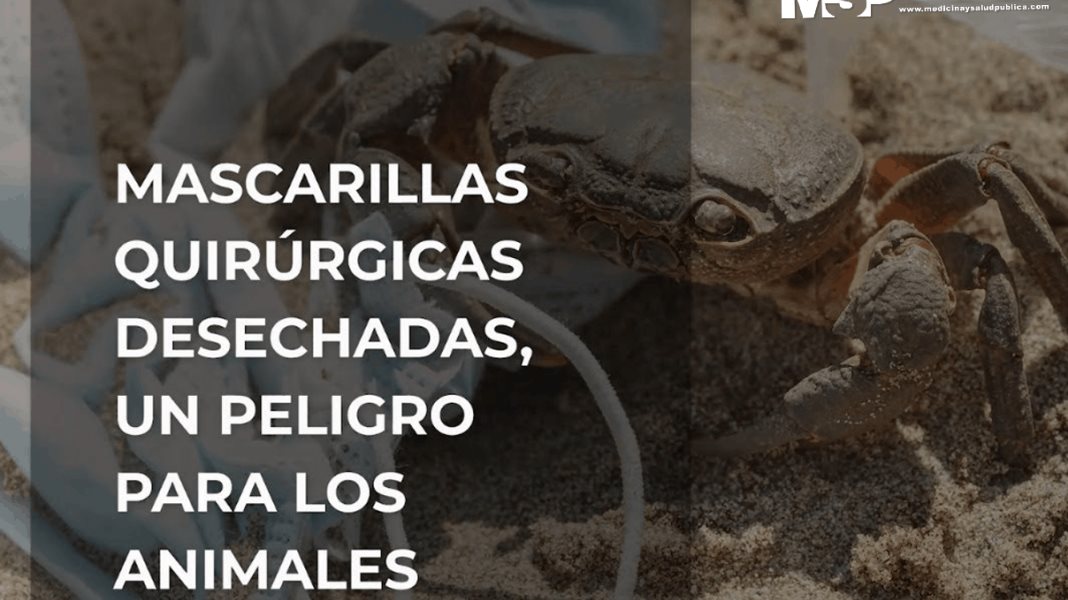 Mascarillas quirúrgicas un peligro para los animales