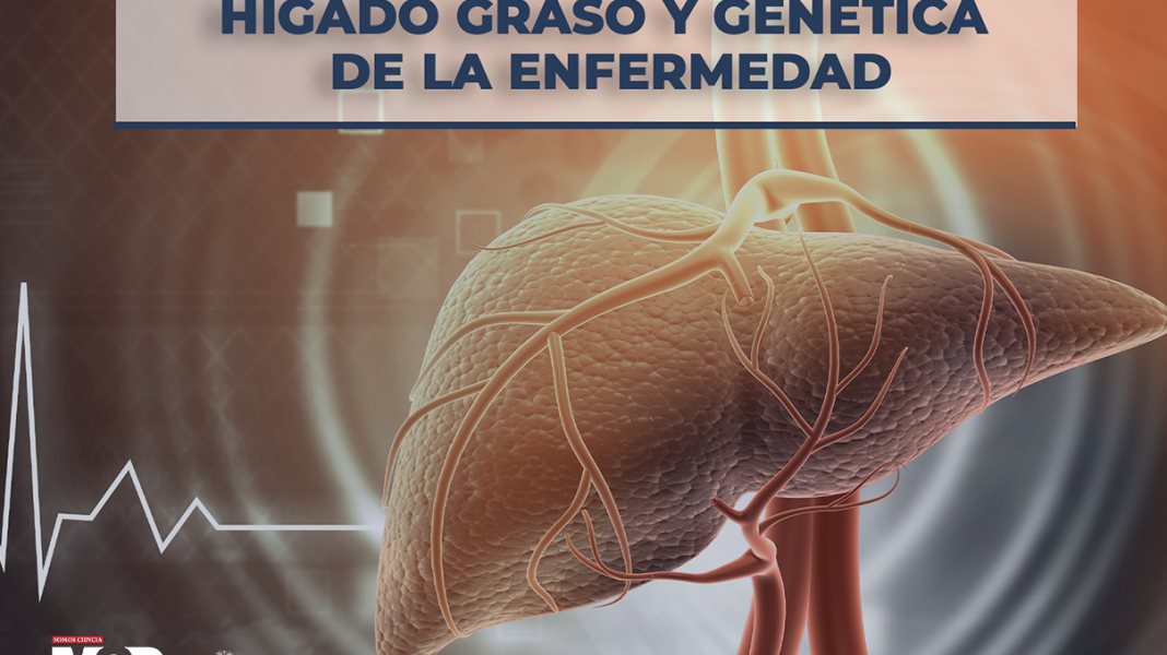 Hígado graso y genética de la enfermedad