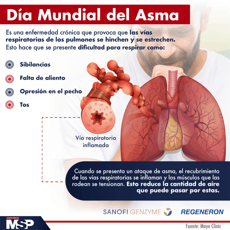 imagen-cuerpo