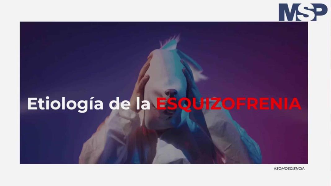 Etiología de la esquizofrenia