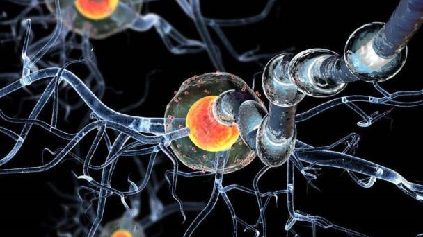 Síntomas comunes de la Esclerosis múltiple asociados a otras enfermedades
