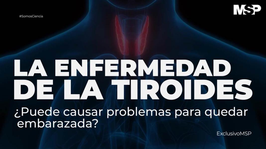 LA ENFERMEDAD DE LA TIROIDES EN EL EMBARAZO