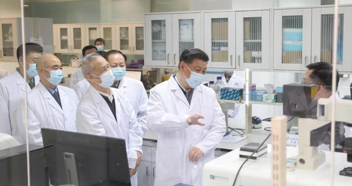Investigadores chinos encuentran nuevos lotes de coronavirus en murciélagos