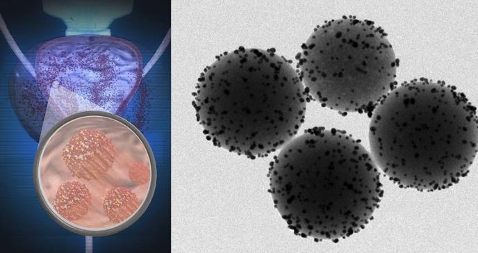 Así se mueven millones de nanorrobotos dentro de ratones vivos