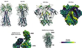 Algoritmos para estudiar el lenguaje ayudan a predecir mutaciones del coronavirus