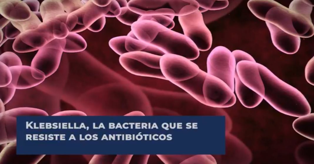 Klebsiella, la bacteria que se resiste a los antibióticos