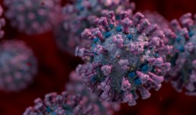 Identifican moléculas que frenan la entrada del coronavirus en las células