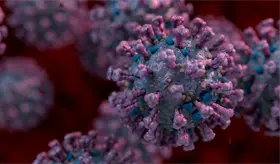 Identifican mol&eacute;culas que frenan la entrada del coronavirus en las c&eacute;lulas