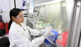 Crean la primera inyección en sangre humana para tratar la amiloidosis por transtiretina