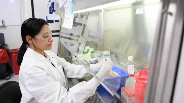Crean la primera inyección en sangre humana para tratar la amiloidosis por transtiretina