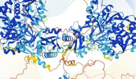 Comunidad científica mundial celebra acceso a base de datos del proteoma humano