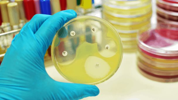 Presencia de mercurio en alimentos reduce la eficacia de los antibióticos Presencia de mercurio en alimentos reduce la eficacia de los antibióticos