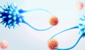 Combinación de terapias: Una alternativa contra ciertos tipos de Leucemia y Linfoma