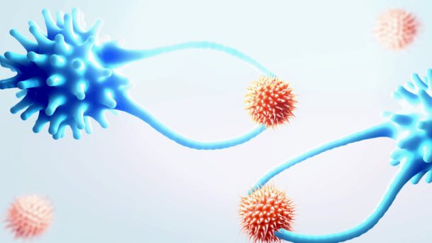 Combinación de terapias: Una alternativa contra ciertos tipos de Leucemia y Linfoma Combinación de terapias: Una alternativa contra ciertos tipos de Leucemia y Linfoma