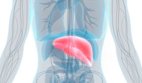 Estudio sostiene que los pacientes con diabetes tipo 2 presentan cambios hepáticos asintomáticos 
