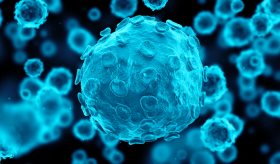 Evolución del herpes tipo 2 alerta a especialistas por su variación genética