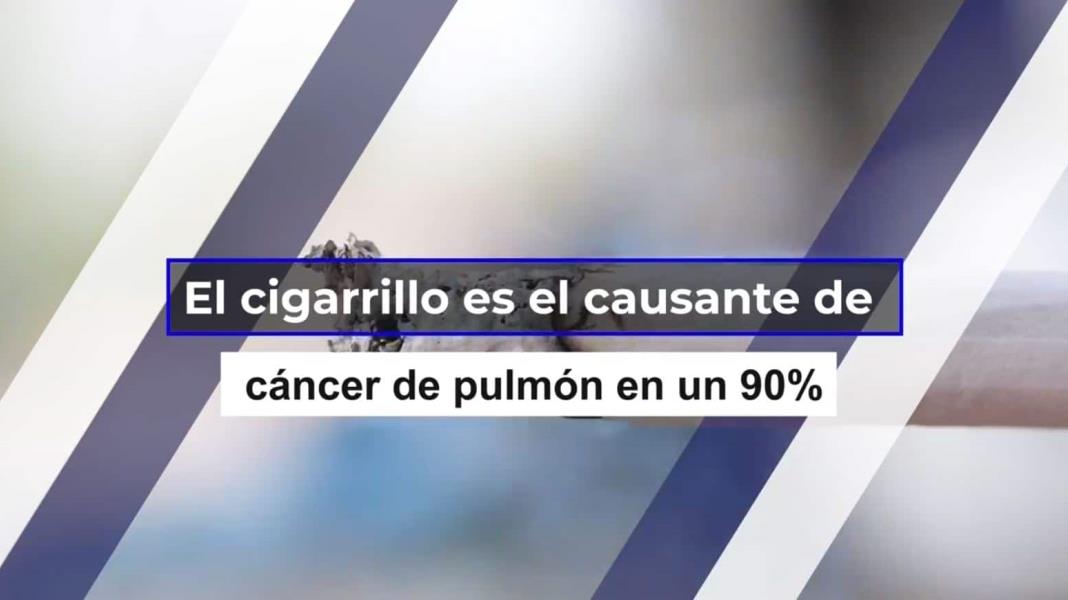 El cigarrillo y su estrecha relación en los casos de cáncer de pulmón