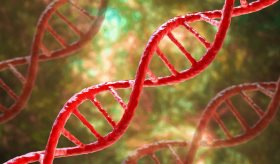 Síndrome de Turner: La rara enfermedad genética que afecta a las mujeres