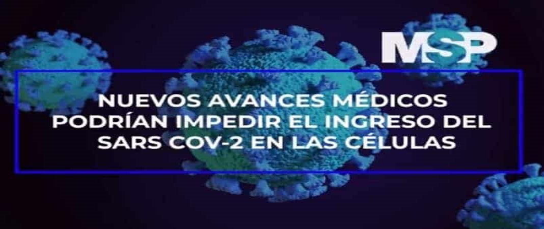 Hallan moléculas que impiden el ingreso del SARS-CoV-2 en las células