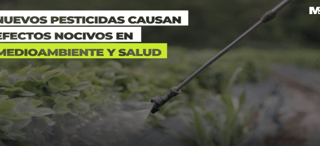 #MSPMedioAmbiente - Nuevos pesticidas causan efectos nocivos en el medio ambiente y la salud