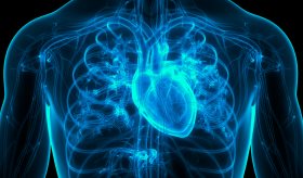 Causas, prevención y tratamiento: Identifica la Fibrilación Atrial