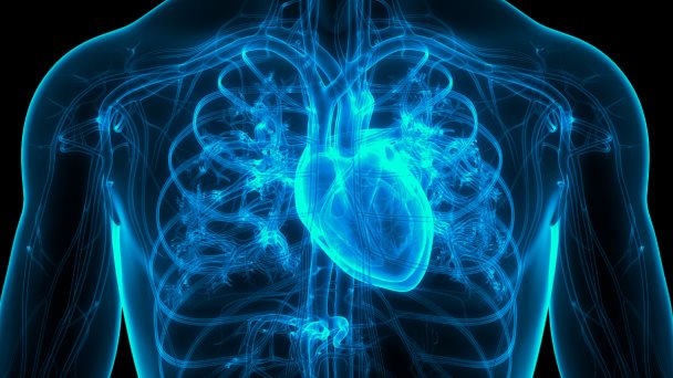 Causas, prevención y tratamiento: Identifica la Fibrilación Atrial Causas, prevención y tratamiento: Identifica la Fibrilación Atrial
