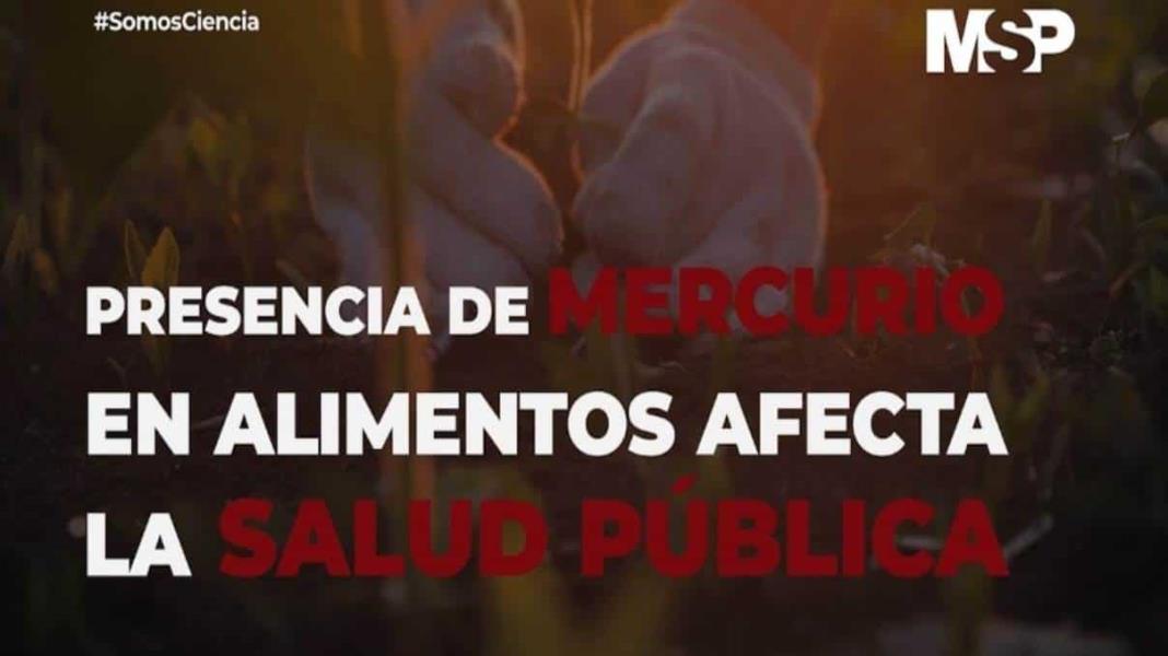 #ExclusivoMSP - Presencia de mercurio en la agricultura afecta la salud pública