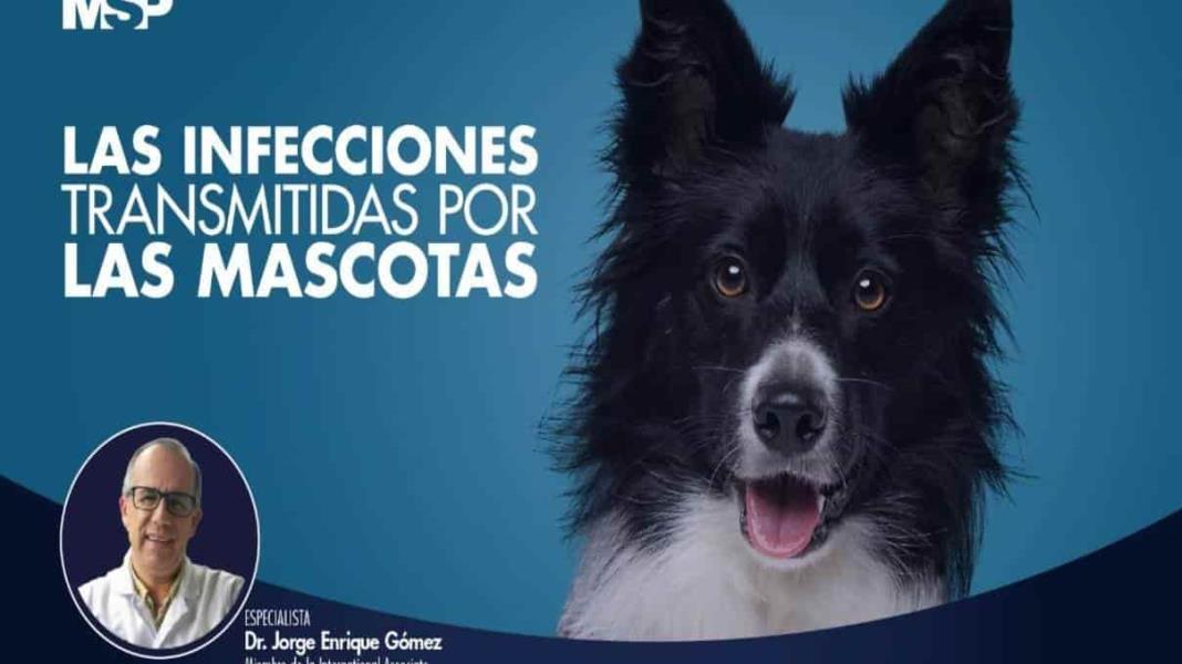Enfermedades transmitidas por las mascotas a humanos