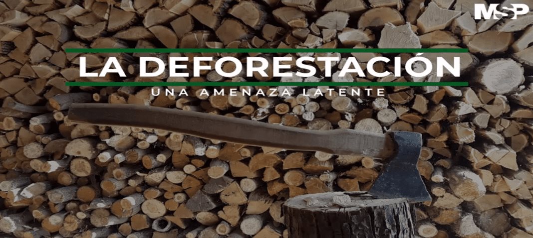 #MSPMedioAmbiente - La deforestación una amenaza latente