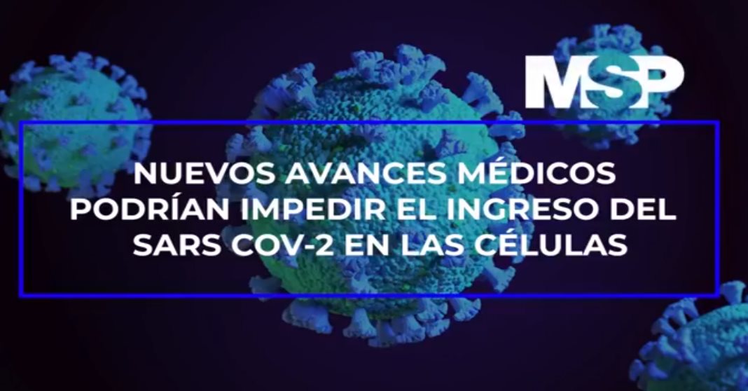 #ExclusivoMSP - Hallan moléculas que impiden el ingreso del SARS-CoV-2 en las células
