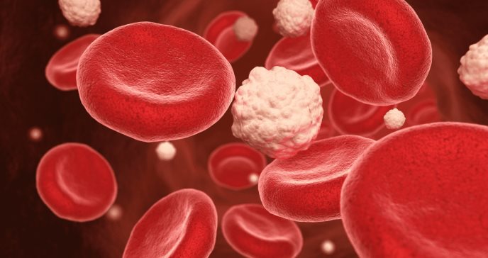 Un estudio sugiere que los orígenes de la diabetes pueden ser diferentes en hombres y mujeres
