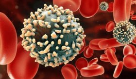 Estudio asegura que no ha disminuido cifras de contagio por VIH en población hispana y de raza negra