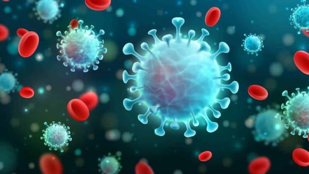 La mortalidad en pacientes con cáncer diagnosticados con COVID-19 ha disminuido, según estudio La mortalidad en pacientes con cáncer diagnosticados con COVID-19 ha disminuido, según estudio