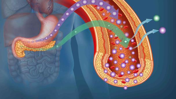 ¿Qué tan común es la remisión de pacientes con diabetes tipo 2? ¿Qué tan común es la remisión de pacientes con diabetes tipo 2?