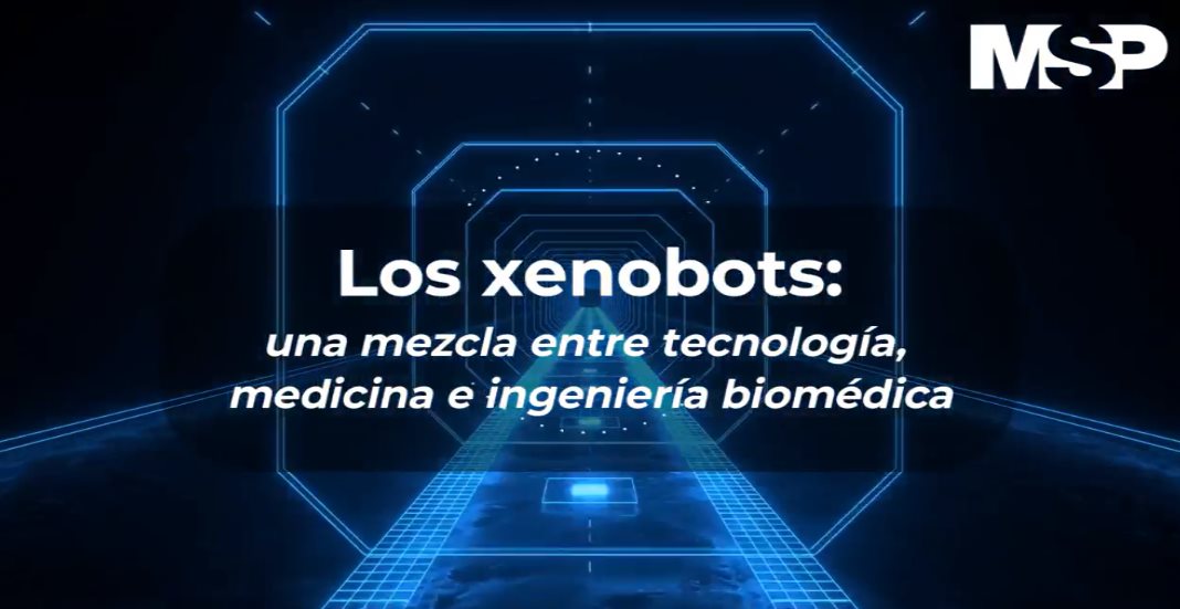 #ExclusivoMSP - Xenobots: los primeros robots vivos hacen copias de sí mismos
