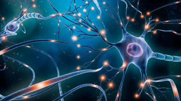 La actividad física ligera está relacionada con un menor riesgo de demencia, según estudio La actividad física ligera está relacionada con un menor riesgo de demencia, según estudio