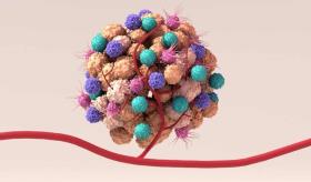 Así permanecen ´dormidas´ las células tumorales antes de provocar la metástasis