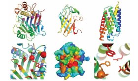 Estos son los avances científicos más importantes de 2021 según la revista ‘Science’