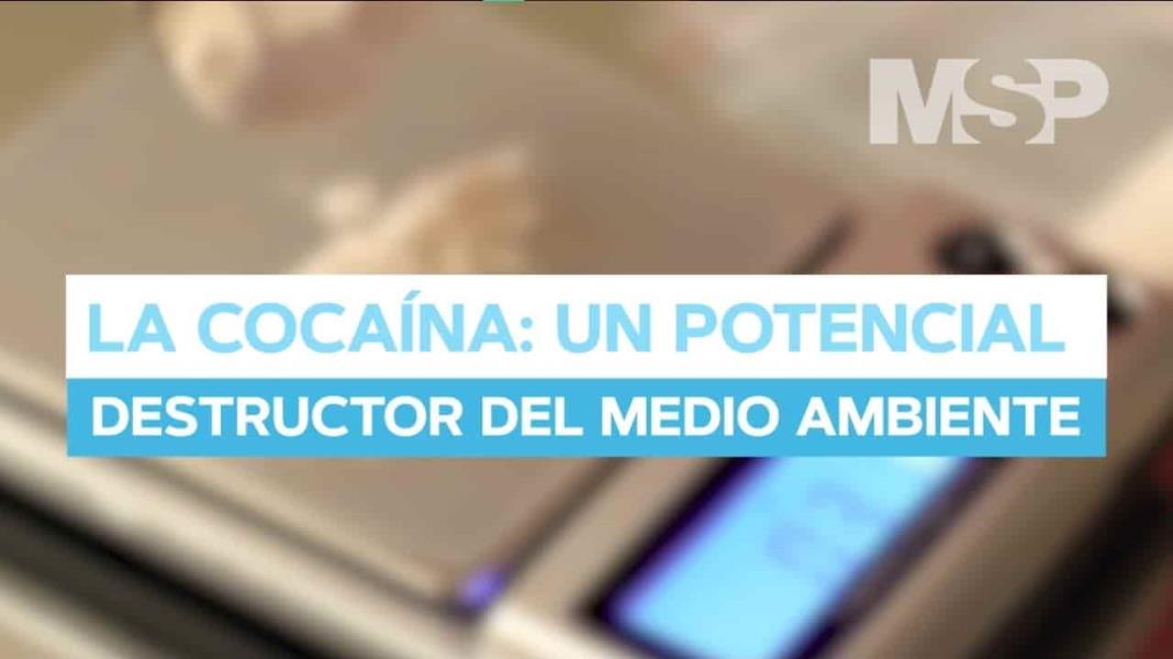 #ExclusivoMSP - La cocaína: Un potencial destructor del medio ambiente