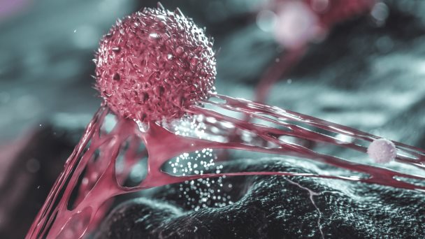 Investigación: Células T de los resfriados comunes pueden brindar protección contra el COVID-19 Investigación: Células T de los resfriados comunes pueden brindar protección contra el COVID-19
