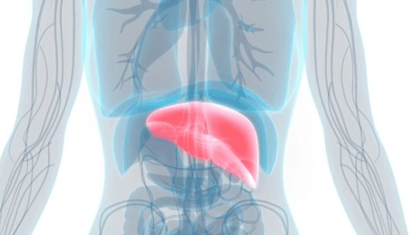 Pacientes con diabetes tipo 2 presentarían cambios hepáticos asintomáticos